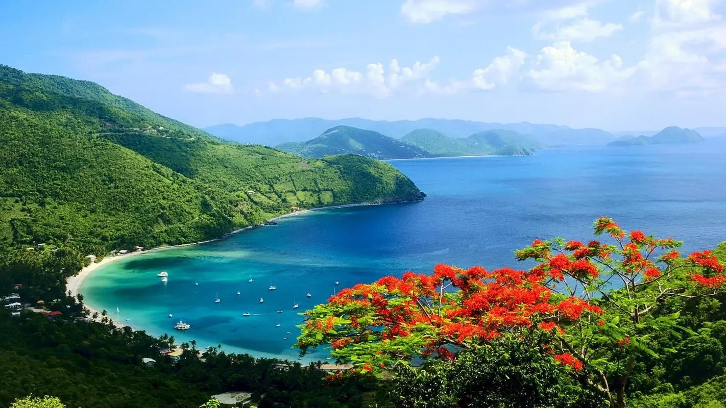 数字化节能全自动